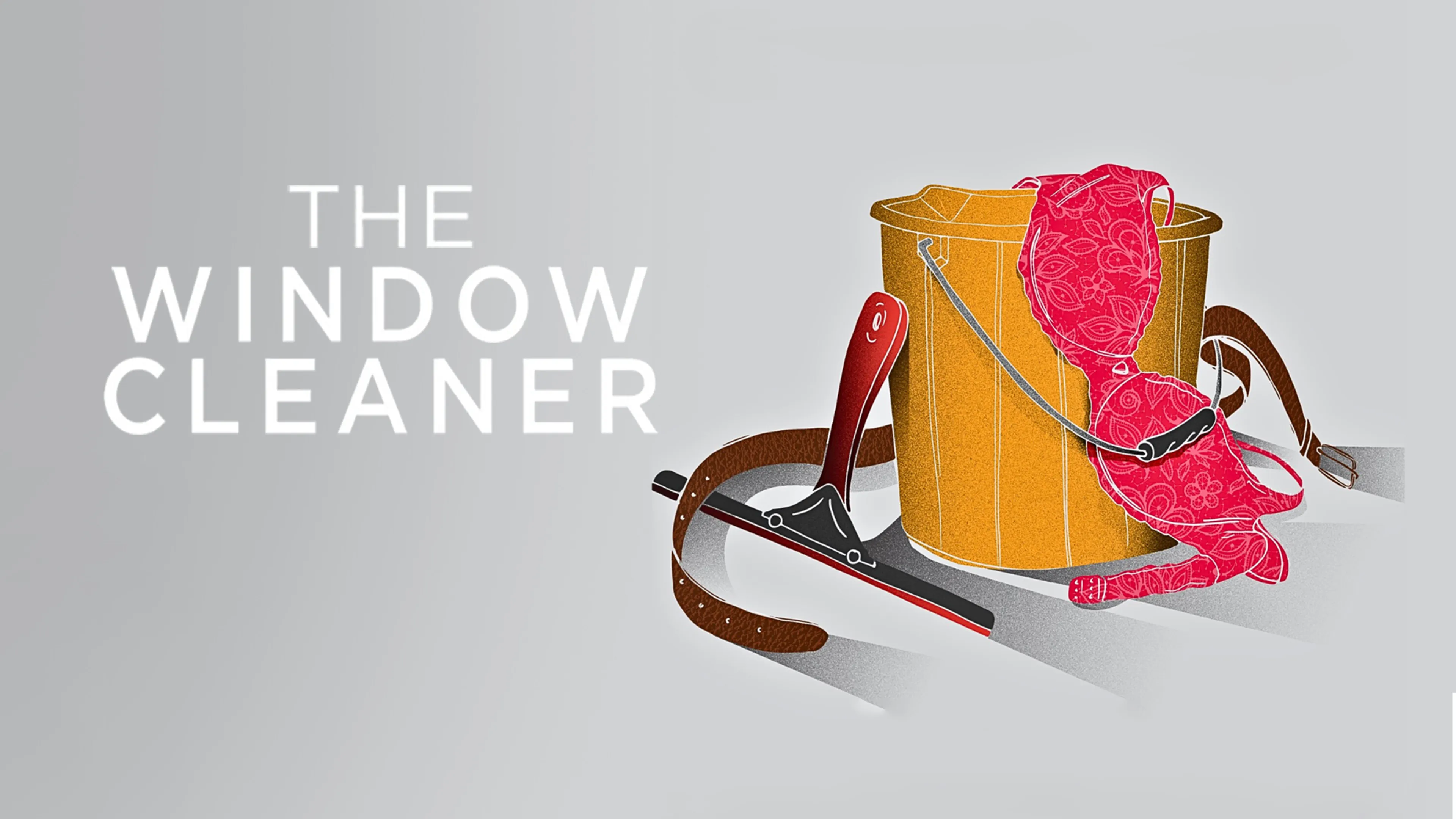 The Window Cleaner poster